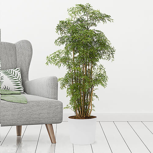 floor plant stand Plant Stand for Indoor Plant Pots main image 1