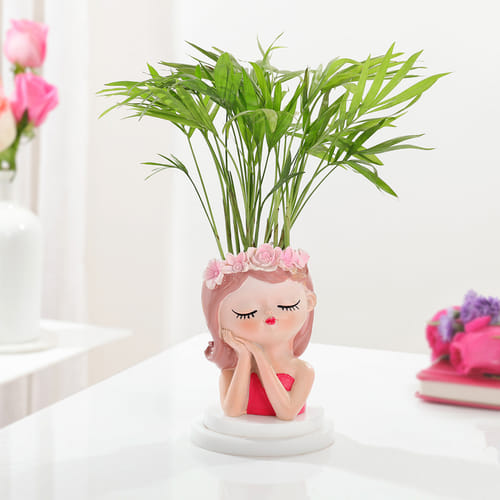 Chamaedorea Plant With Beauty Planter