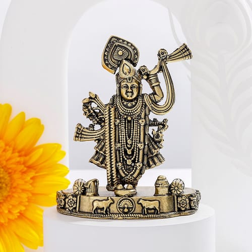 Graceful Shrinath Ji Brass Idol