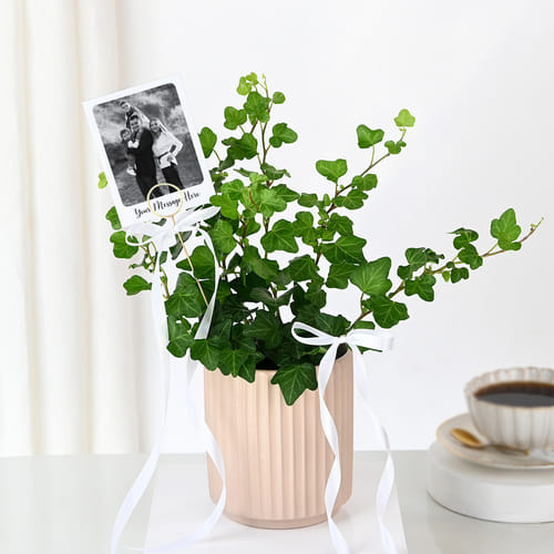 Personalized English Ivy And Fridge Magnet Combo