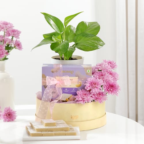 Wellness And Indulgence Hamper