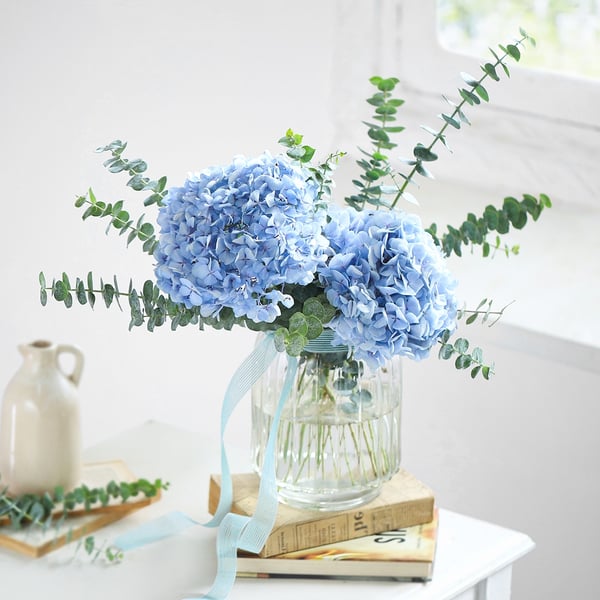 Blue Harmony Hydrangea Arrangement