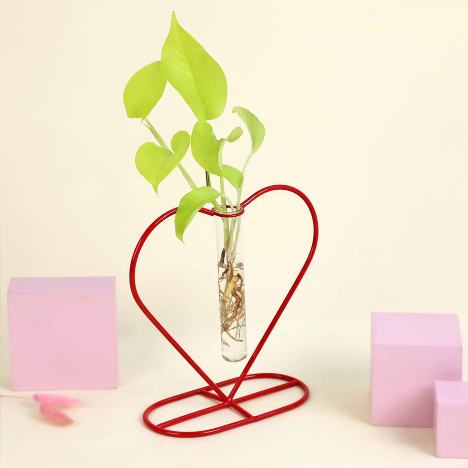 アーネストハーツ 鉢earnest hearts pot 1st Lsize 公式通販