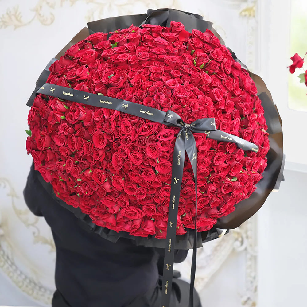 Buy/Send 365 Roses of Love Online | IGP | JVS1273296