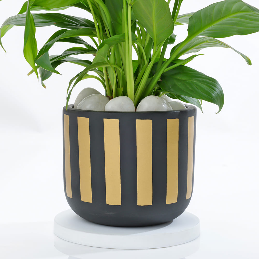 large terracotta planting pots Exara Planter main image 1