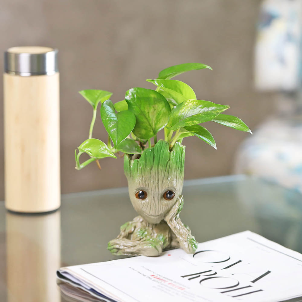 Buy/Send Money Plant in a Baby Groot Planter Online | IGP | JVS1192009