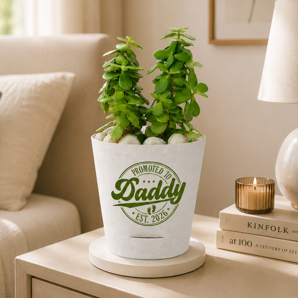 Send Vibrant Jade Plant And Self Watering Planter Online, Same Day Delivery  in UAE | IGP | JVS1304244