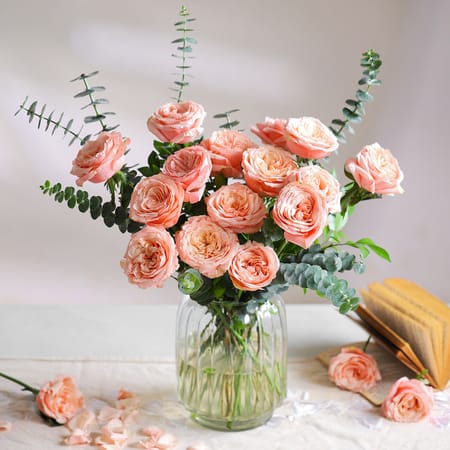Apricot Beauty-picture-13