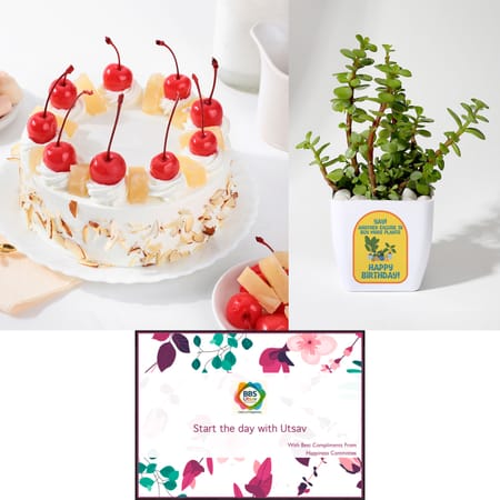 Bechtel cake and plant combo-picture-14