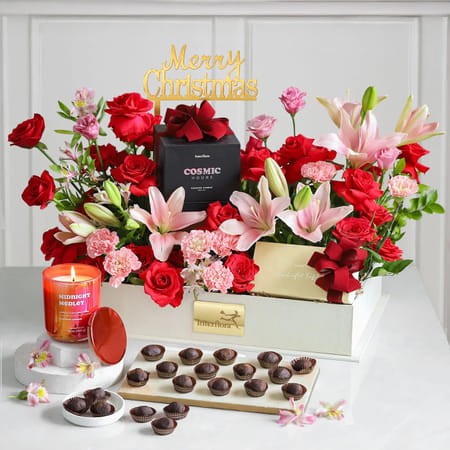 Berry Blush Grandeur-picture-30
