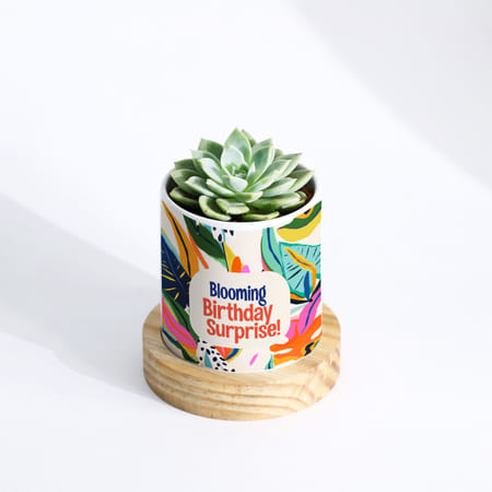 Blooming Birthday Surprise Personalized Echeveria Succulent With Pot-picture-33