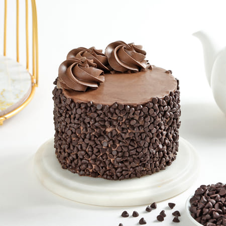 Choco Chip Truffle Cake (300 Gm)-picture-24
