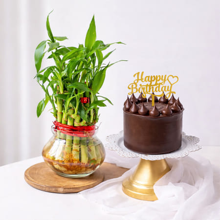 Chocolate Crown Cake and Lucky Bamboo Birthday Combo-picture-27