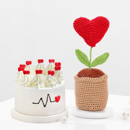 Delightful Crochet Heart And Cake Gift Combo-picture-38
