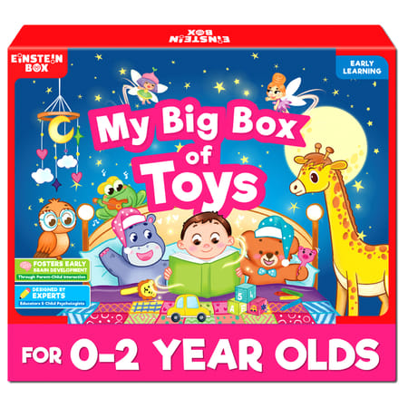 Early Learning Toy Box For Babies - 0 to 12 Months-picture-23