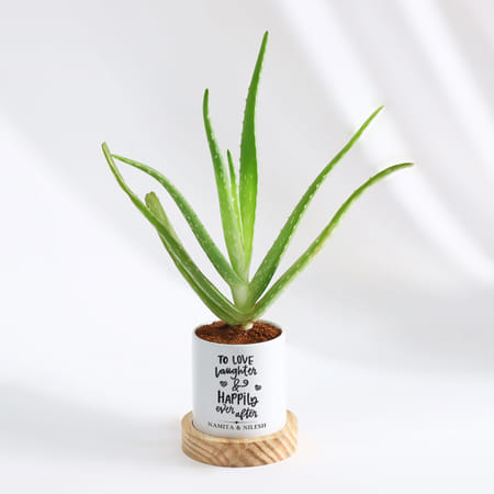 Buy/Send Happily Ever After - Aloe Vera Plant With Pot