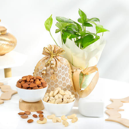 Harmony And Wellness Package