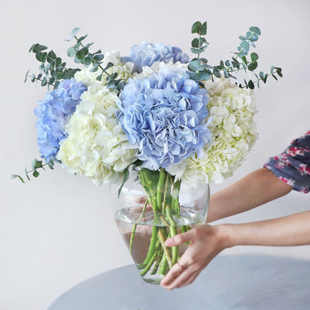 Hydrangea Bouquet — low pollen