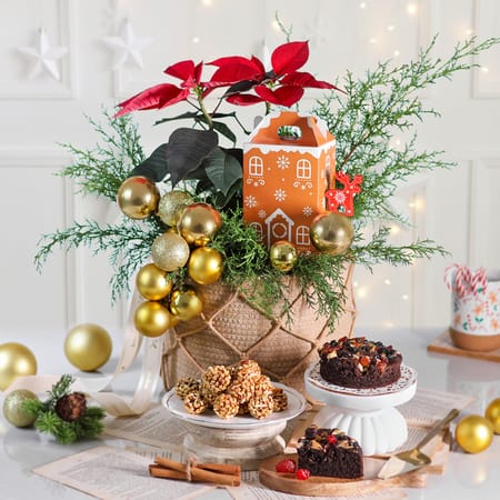 Home for the Holidays-picture-21