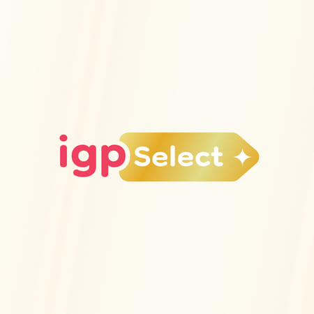 IGP Select Lite-picture-13