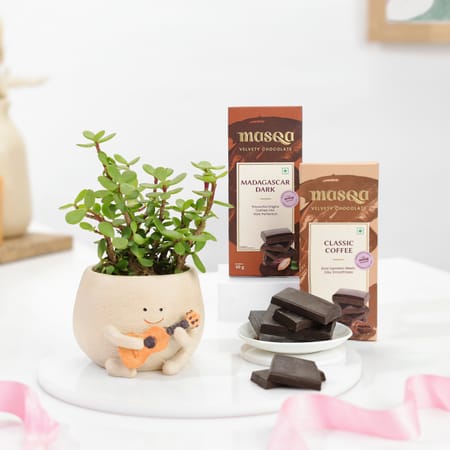Indulging Jade Plant And Chocolates Combo
