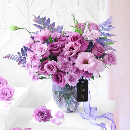 ブロメリア・エアープランツ Hohenbergia 'Purple Majesty' H0156 Hohenbergia Purple Majesty - Bird Rock Tropicals