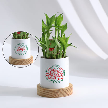 Merry Christmas - Bamboo Plant With Personalized Pot-picture-24