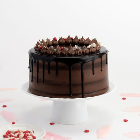 Moist Chocolate Cake (1 Kg)-picture-30