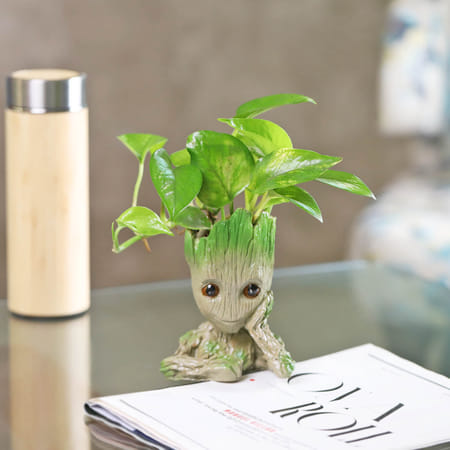 Money Plant in a Baby Groot Planter-picture-25