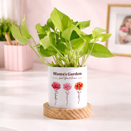 Personalized Mama Flourishing Money Plant with Pot-picture-12