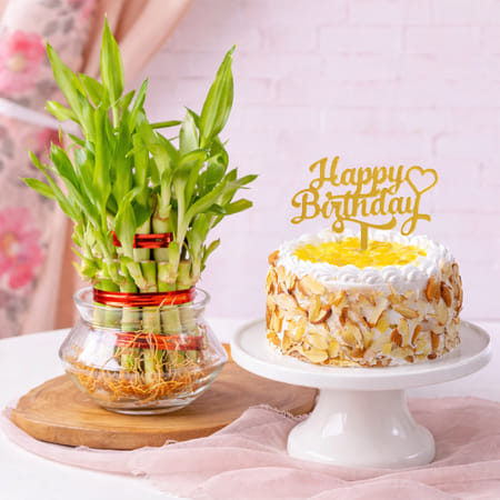 Pineapple Cake and Lucky Bamboo Plant for Birthday-picture-25