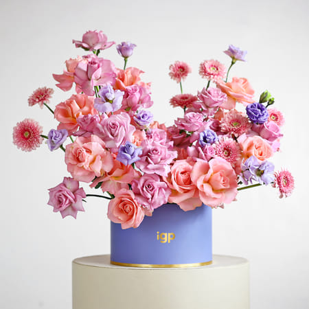 Plum Melody-picture-30