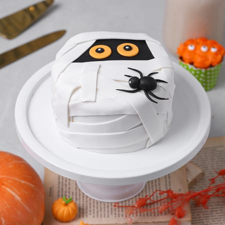 Spooky Spider Chocolate Cake-picture-17