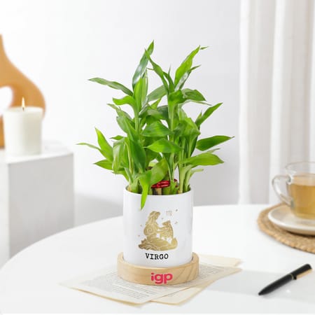 Virgo Zodiac 2 Layered Bamboo Planter-picture-31