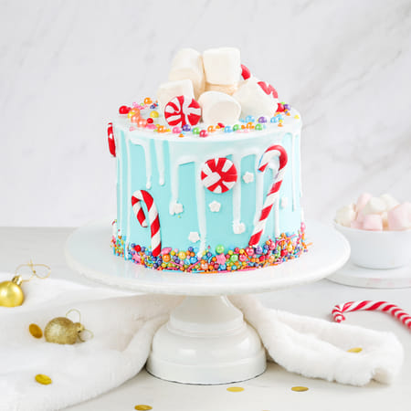 Winter Wonderland Semi-Fondant Christmas Cake-image-19