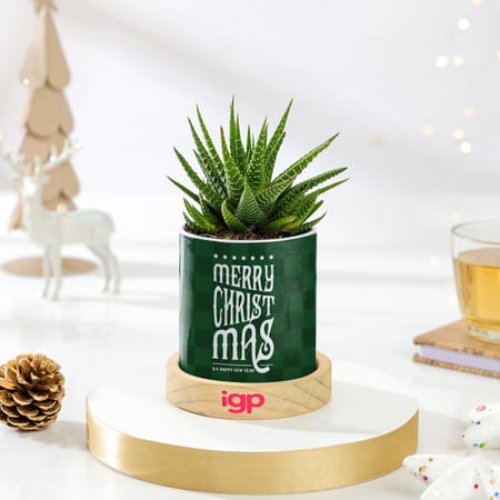 Zebra Succulent Christmas Keepsake
