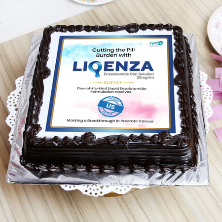 Zydus chocolate flavour photo cake half kg-picture-33