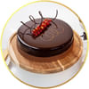 Cakes