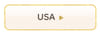 Rakhi to USA