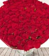 100 Dreamy Red Roses
