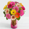 12 Mixed Gerbera Online