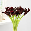 Shop 20 Calla Lily Luxe Vase Arrangement