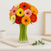 20 Mix Gerberas Bouquet Online