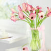 Buy 20 Pink Calla Lilies in Glass Vase