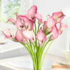 Shop 20 Pink Calla Lilies in Glass Vase