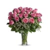 20 Pink Roses Arrangement