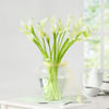 Gift 20 White Calla Lilies in Glass Vase