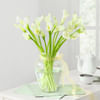 20 White Calla Lilies in Glass Vase Online