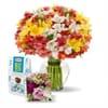 24 Multi-Coloured Alstroemeria with Chocolates Online