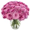 24 Purple Roses Bouquet Online